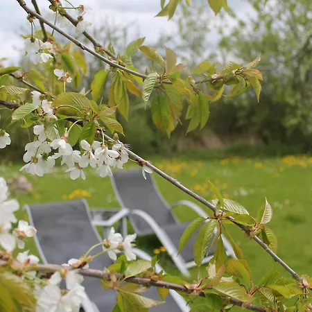 Charmante Mit Garten In Wiek *