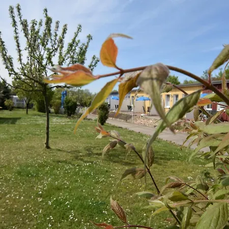 Fantastic In Wiek With Garden Apartment