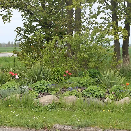 Fantastic In Wiek With Garden Apartment *